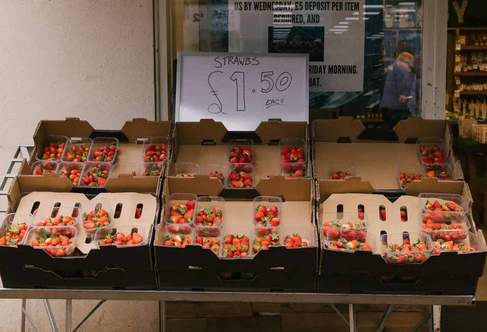 Local Attractions We Love in Coconut Grove in Coconut Grove